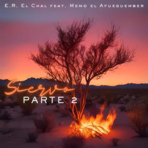 Siervo Parte 2 (Remastered) (feat. Memo El Afueguember)