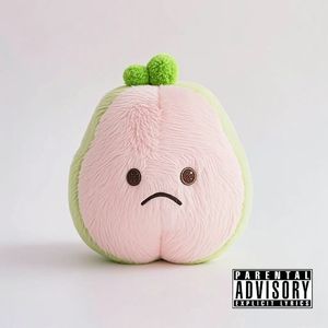 ExpiringBallad临期芭乐