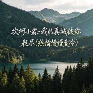 我的真诚被你耗尽(热情慢慢变冷)