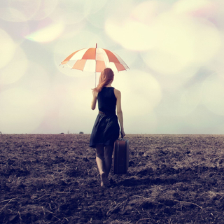 无前奏民谣，一腔诗意喂了狗