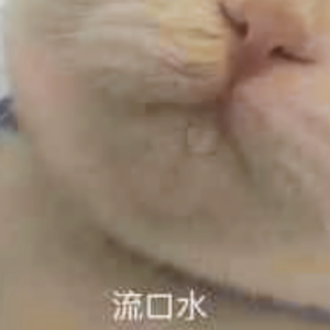 蜜雪冰城甜蜜蜜（猛男版）