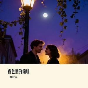 夜色里的偏航