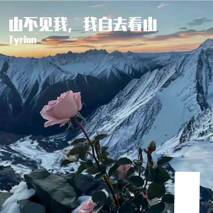 山不见我，我自去看山