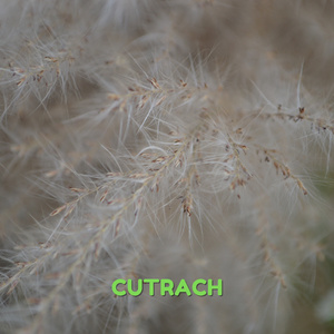 อีกไม่นานคงหายเศร้า