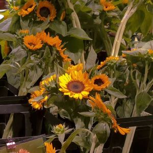 ZER0 (Prod.by Rick1y)