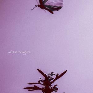 Afternight