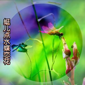 蜓儿点水蝶恋花DJ (伴奏)