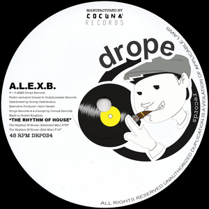 The Rhythm of House (Extended Mix)