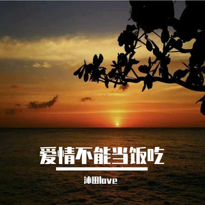 爱情不能当饭吃
