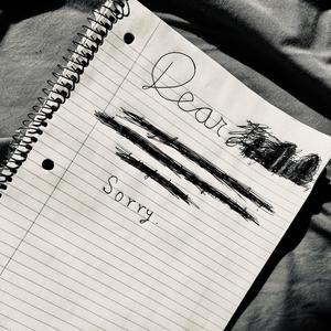 sorry i was scared to love u