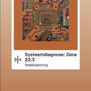 Techno Systeemdiagnose: Zena 22.3