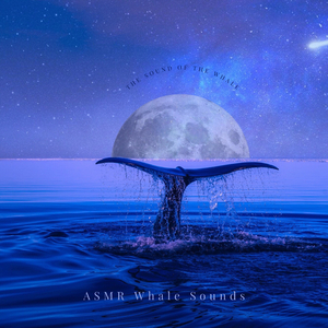 ASMR the Relaxing Whale Song