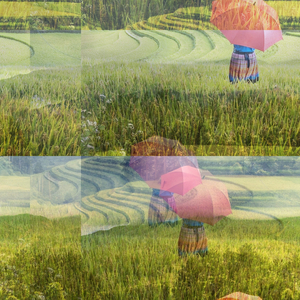 Celie
