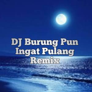 DJ Burung Pun Ingat Pulang Remix