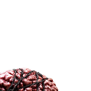 стокгольмский синдром