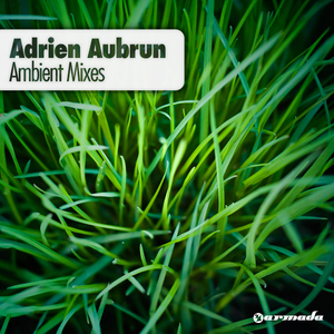 What Do You See? (Adrien Aubrun Ambient Mix)
