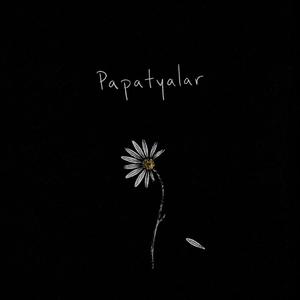 Papatyalar