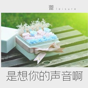 是想你的声音啊