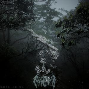 16月6日雾，影散，临晓(instrumental)