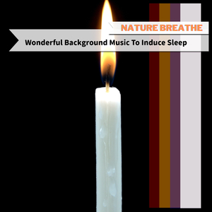 A Life Without a Mind