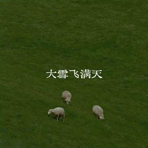 大雪飞满天