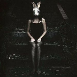 Кроличья нора