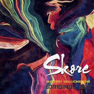 Auditory Hallucinations (Original Mix) (Original Mix)