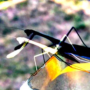 wrong! (feat. Yazida)