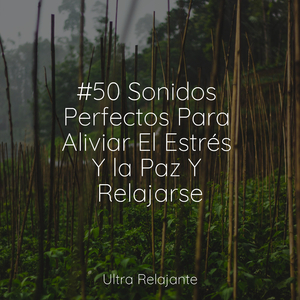 Profundidades Reconfortantes