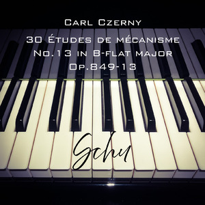 30番練習曲 第13番 変ロ長調 Op.849-13