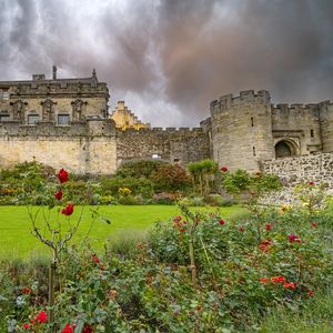 《钢筋森林的候鸟》