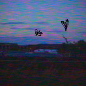 Was ist eigentlich mit morgen