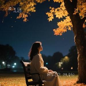 秋夜思念 (纯音乐)