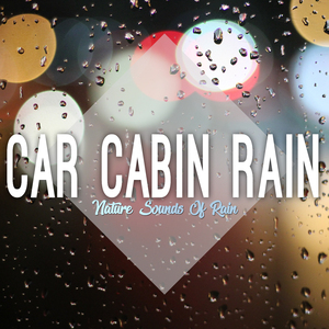 Time to Relax with Rain