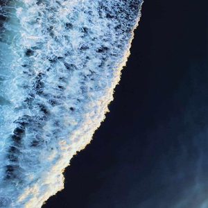 Soon You Will Disappear