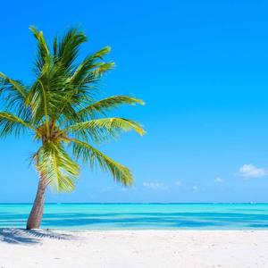 蓝色夏天分我一半