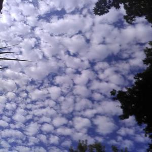 Archie's Theme Re Done Version (T90h Remix)