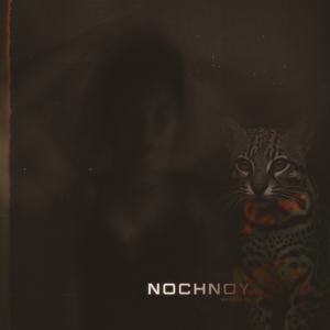 Nochnoy