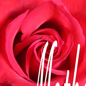 Who Wouldn't Love You