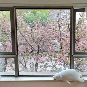 春日梦