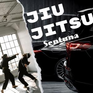 Jiu Jitsu