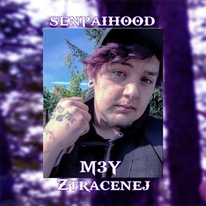 M3Y Ztracenej