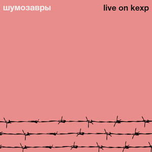 Дерево (Acoustic Live)