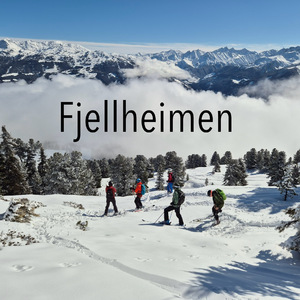 Fjellheimen