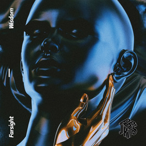 Starduster (DJ +/- Remix)