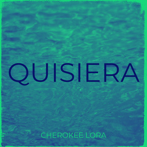 Quisiera