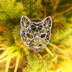 D Low Fat End (Original Mix)