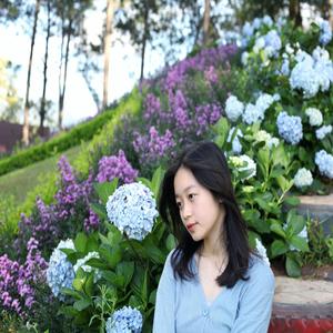 Grace Love Sincerely Fade Embryos Passed Vicissitudes Share