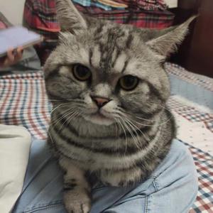 不是秘密的秘密