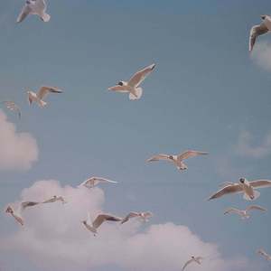 【FREE】"过往云烟"